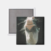 Grote Brit Magneet (Voorkant / Achterkant)