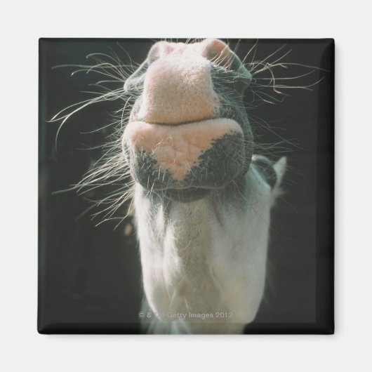 Grote Brit Magneet (Voorkant)