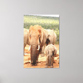 Grote broerkleine olifant Canvas omgeven (Voorkant)