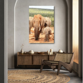 Grote broerkleine olifant Canvas omgeven