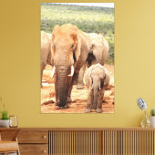Grote broerkleine olifant Canvas omgeven Afdruk (Insitu (Woonkamer))