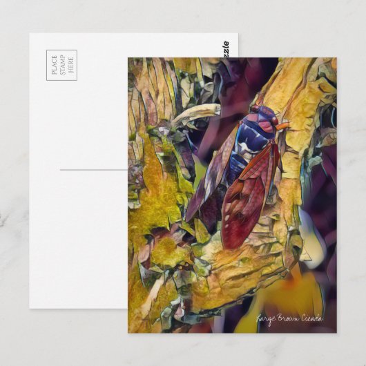 Grote bruine Cicada:Briefkaart Briefkaart (Voorkant / Achterkant)