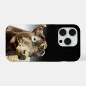 Grote bruine koe kauwt op hooi, iPhone hoesje (Achterkant horizontaal)