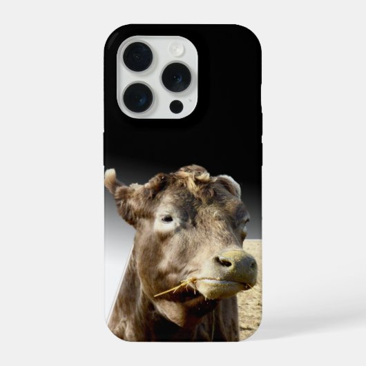Grote bruine koe kauwt op hooi, iPhone hoesje (Achterkant)