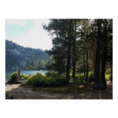 Grote bruine meeuw perfect poster (Voorkant)