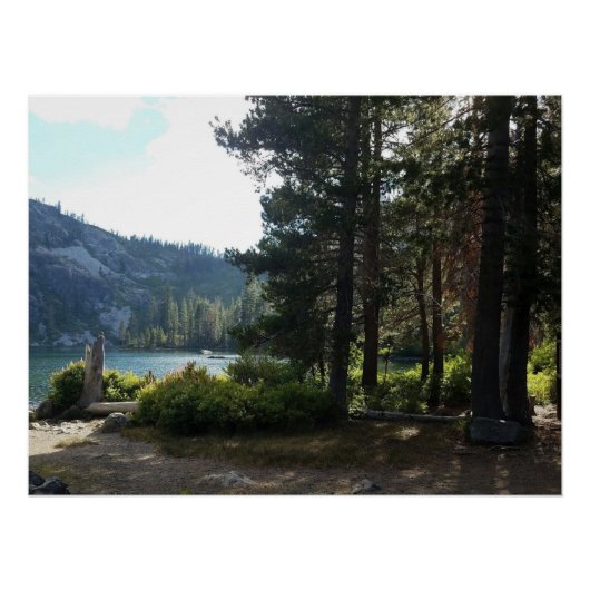 Grote bruine meeuw perfect poster (Voorkant)