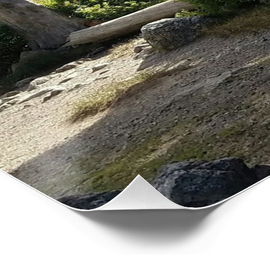 Grote bruine meeuw perfect poster (Hoek)