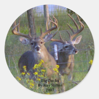 Grote BucksBy Kay Miller2007 Ronde Sticker