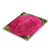 Grote Camellia Blossom, Fuchsia Pink Tegeltje (Zijkant)