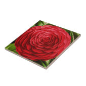 Grote Camellia Blossom, Shades of Deep Red Tegeltje (Zijkant)