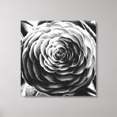 Grote Camellia, zwart, wit en grijs / grijs Canvas Afdruk (Voorkant)