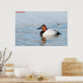 Grote Canadese Zaagbek Poster (Keuken)