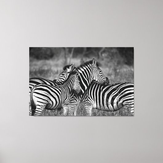 Grote Canvas - Afrikaanse Zebra's Afdruk (Voorkant)