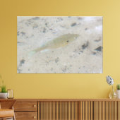 Grote canvas vis kunst afdruk (Insitu (Woonkamer))