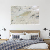 Grote canvas vis kunst afdruk (Insitu (Slaapkamer))