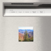 grote canyon magneet (Insitu (Vaatwasser))