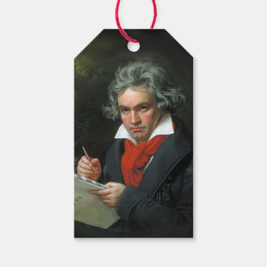 Grote componisten Ludwig van Beethoven Cadeaulabel (Voorkant)