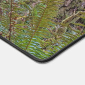 Grote conifeer Pacific Northwest Forest Bureaumat (Hoek)