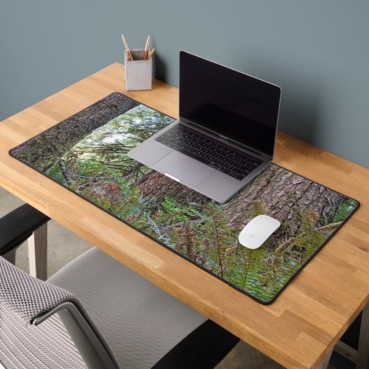 Grote conifeer Pacific Northwest Forest Bureaumat (Kantoor 2)