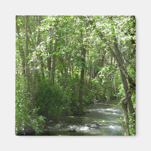 Grote Creek in de zomertijd..... Magneet