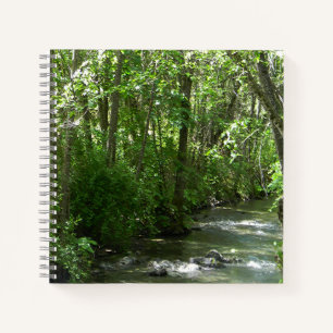 Grote Creek in de zomertijd..... Notitieboek