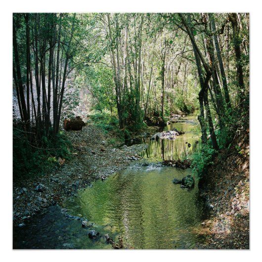 Grote Creek... Poster (Voorkant)