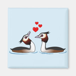 Grote Crested Grebes in Liefde Magneet