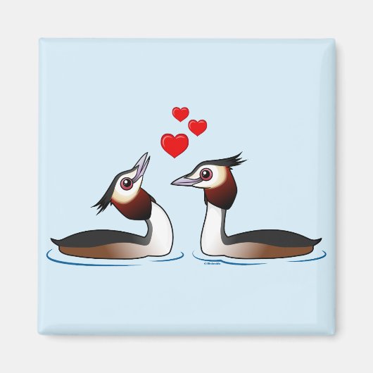 Grote Crested Grebes in Liefde Magneet (Voorkant)
