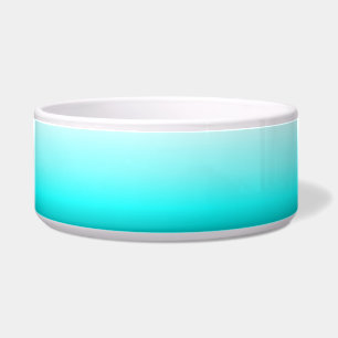 Grote cyaan Pet Bowl Voerbakje