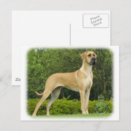 Grote Daan 9T088D-027 Briefkaart (Voorkant / Achterkant)