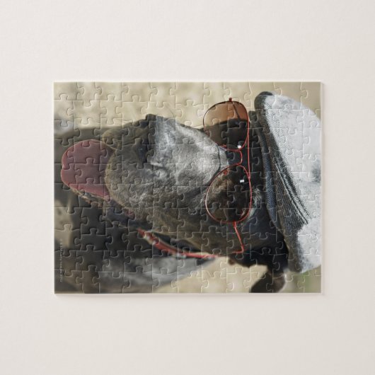 Grote Daan met pet en zonnebrillen Legpuzzel (Horizontaal)