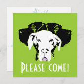 Grote daangezichten zweet | Doggenhaus Kaart (Voorkant / Achterkant)