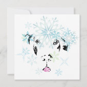 Grote daangezichten zweet | Doggenhaus Kaart (Achterkant)