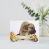 Grote daanpuppy met bot in studio briefkaart (Staand voorkant)