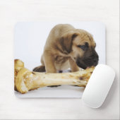 Grote daanpuppy met bot in studio muismat (Met muis)