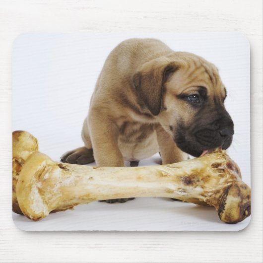Grote daanpuppy met bot in studio muismat (Voorkant)