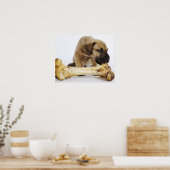 Grote daanpuppy met bot in studio poster (Keuken)