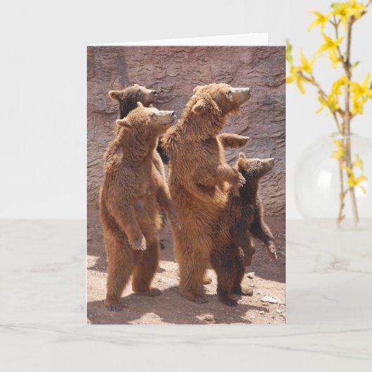 GROTE DAG VAN DE KAART VAN ALLE BEREN VAN DE VS (G (Gele Bloem)