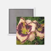 Grote Dagelijkse Magneet (Voorkant / Achterkant)