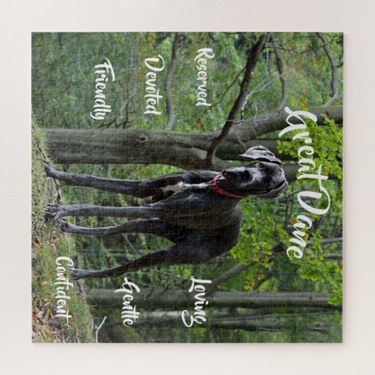 Grote Dane Dog Traits Jigsaw Puzzel spel (Horizontaal)