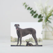 Grote dane en kleine gemengde hond briefkaart (Staand voorkant)
