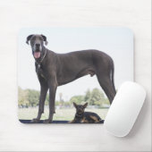 Grote dane en kleine gemengde hond muismat (Met muis)