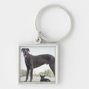 Grote dane en kleine gemengde hond sleutelhanger