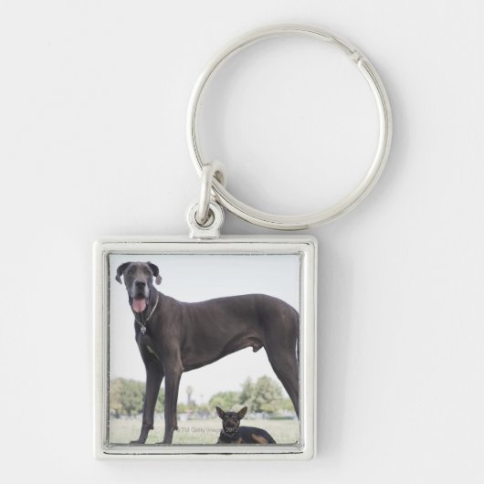 Grote dane en kleine gemengde hond sleutelhanger (Voorkant)