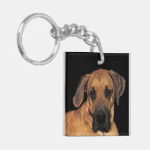 Grote Dane Gentle Giant Sleutelhanger (Voorkant Links)