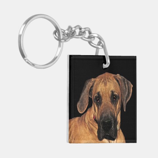 Grote Dane Gentle Giant Sleutelhanger (Voorkant Links)