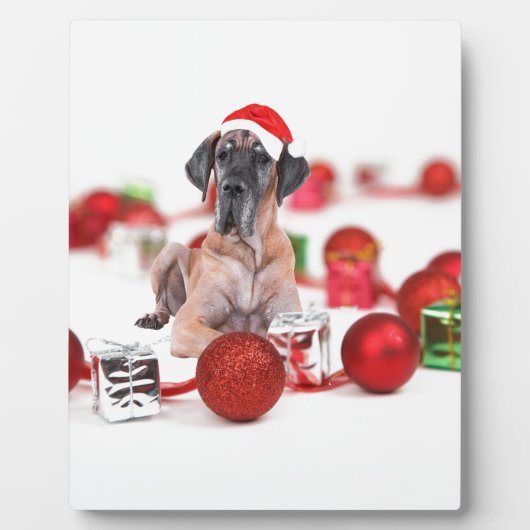 Grote Dane Hond met Kerstmis Ornamenten Cadeaus Fotoplaat (Voorkant)