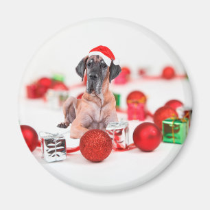 Grote Dane Hond met Kerstmis Ornamenten Cadeaus Magneet