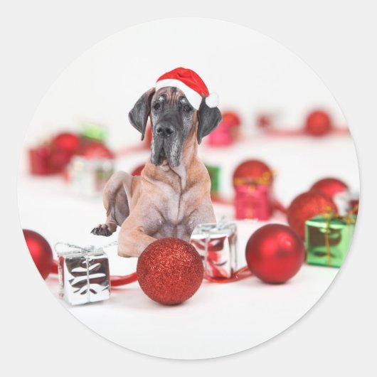 Grote Dane Hond met Kerstmis Ornamenten Cadeaus Ronde Sticker (Voorkant)
