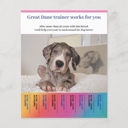 Grote Dane Hondentrainer Flyer (Voorkant)